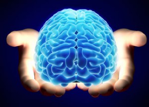 image-brain-small